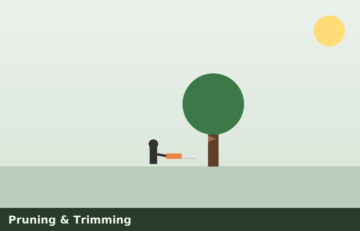 Pruning & trimming demo image