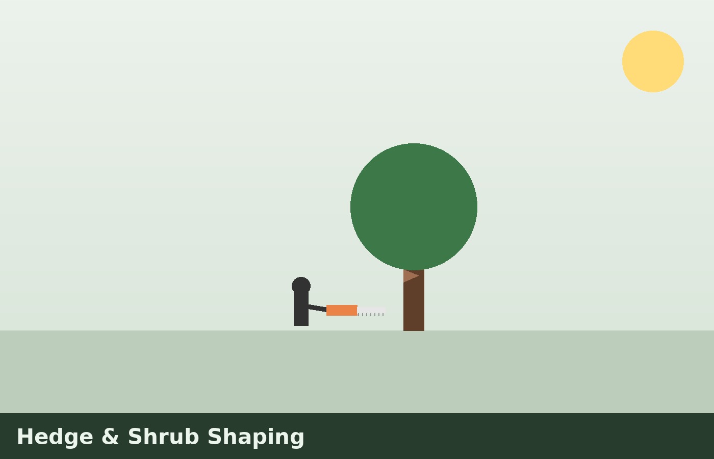 Hedge & Shrub Shaping illustration