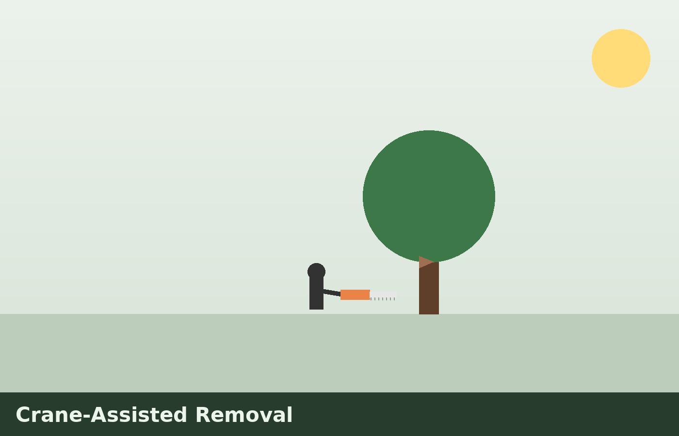 Crane-Assisted Removal illustration
