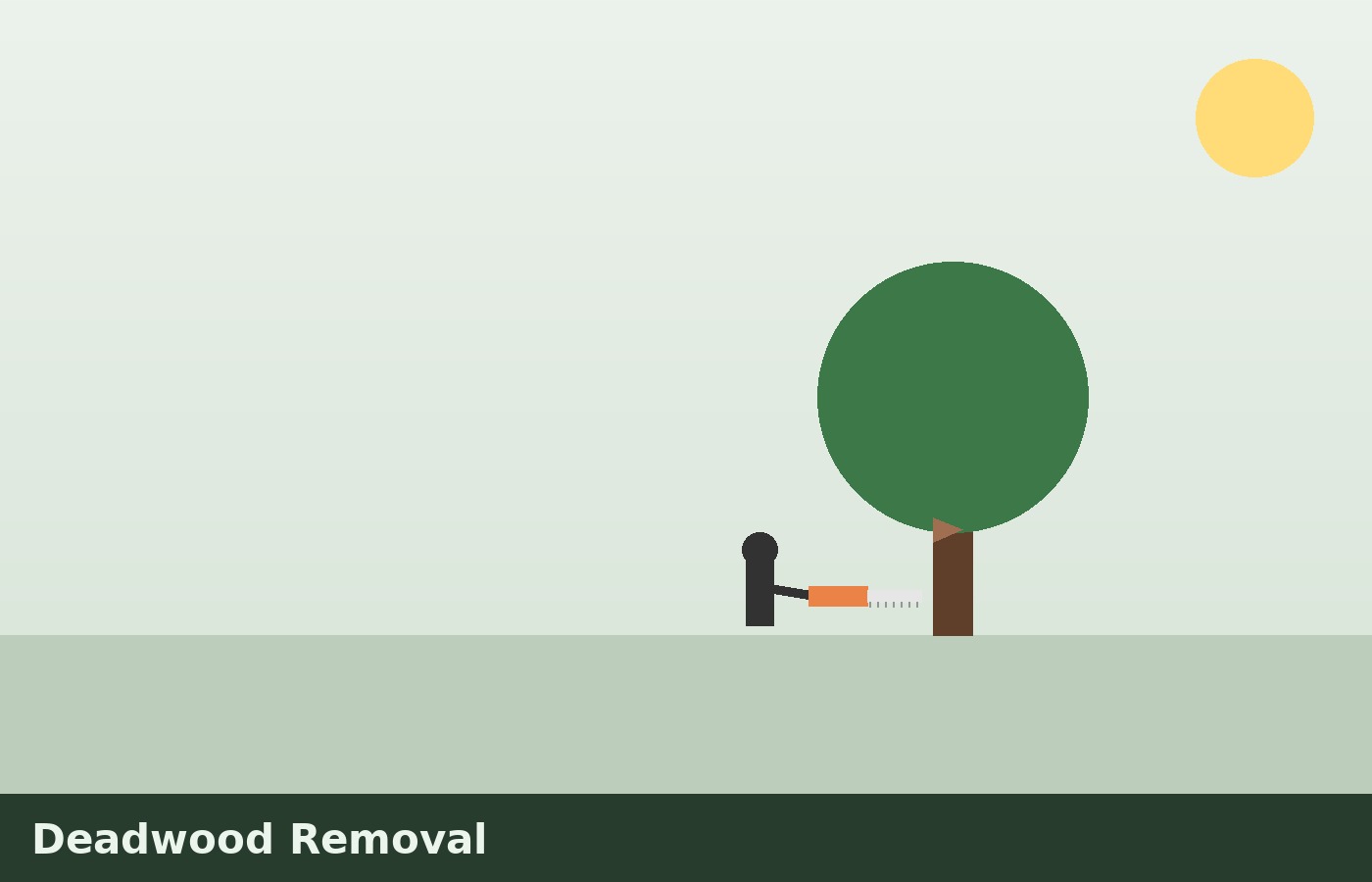 Deadwood Removal illustration