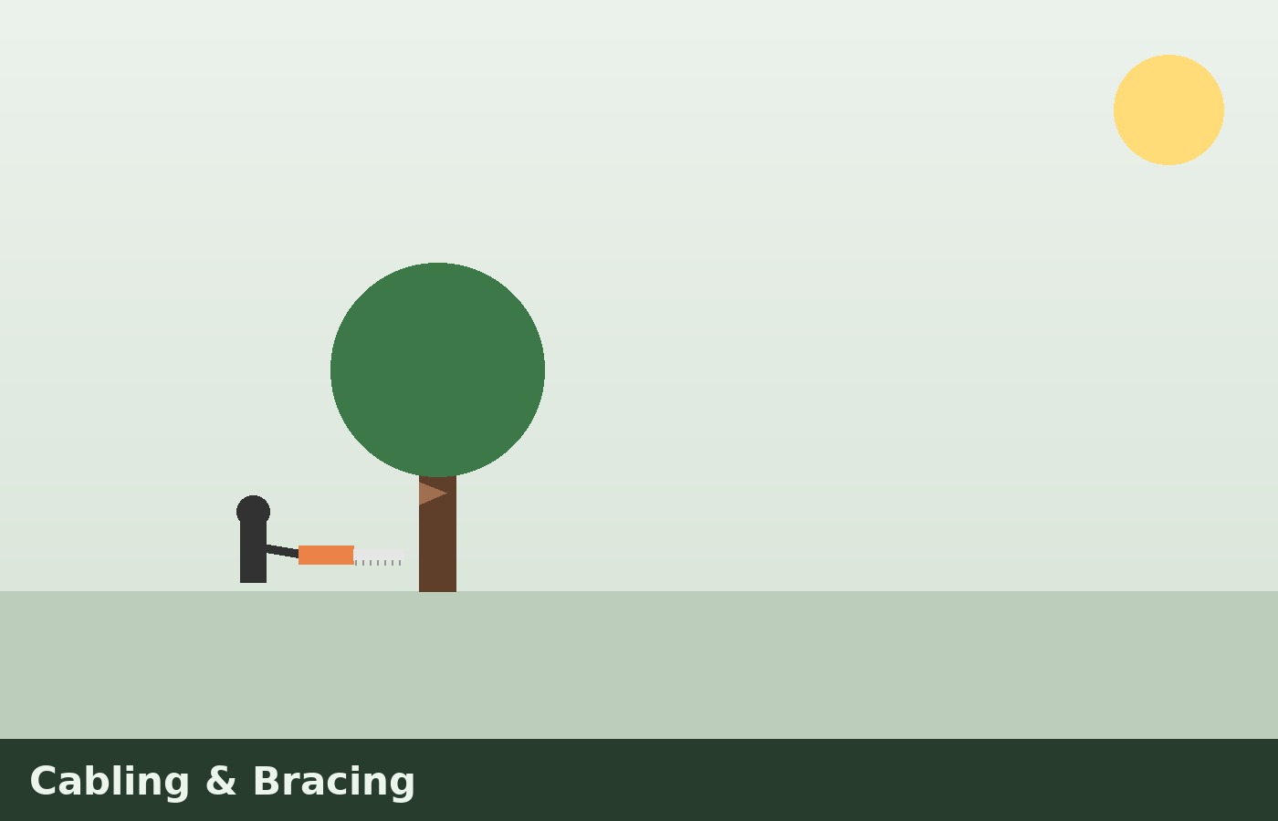 Cabling & Bracing illustration